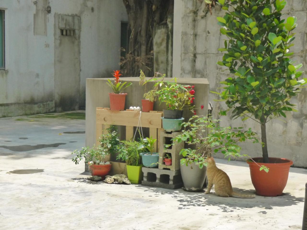 Wholesome Hotel Tchaj-pej Exteriér fotografie